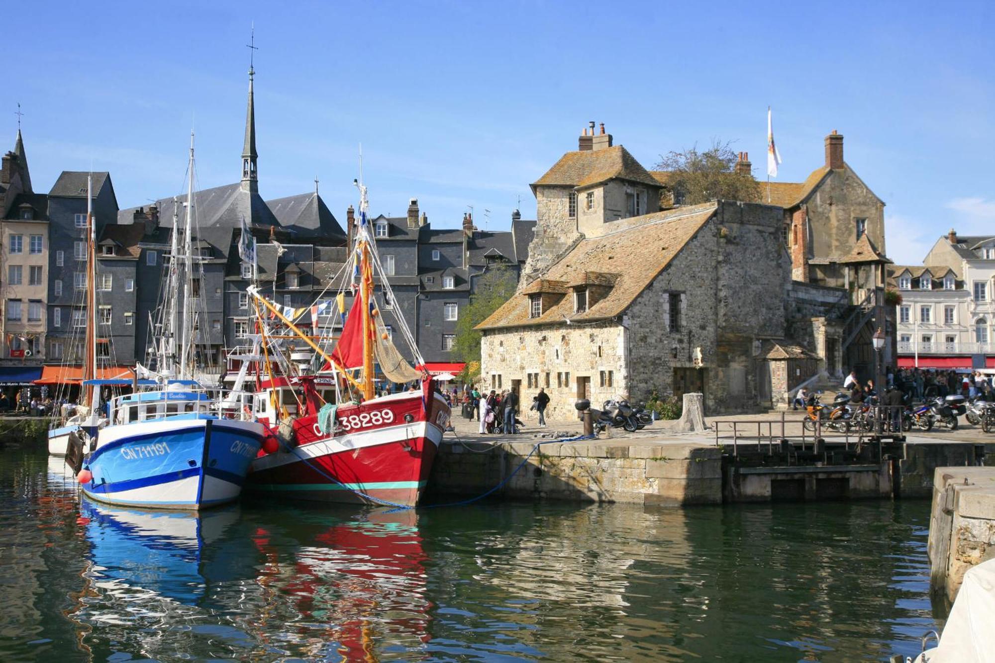 Studio Meuble Jacynthe Proche Le Havre - Etretat - Honfleur Saint-Romain-de-Colbosc Bagian luar foto
